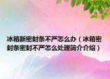 冰箱新密封条不严怎么办（冰箱密封条密封不严怎么处理简介介绍）