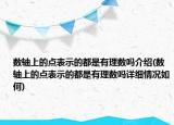 数轴上的点表示的都是有理数吗介绍(数轴上的点表示的都是有理数吗详细情况如何)