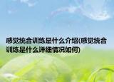 感觉统合训练是什么介绍(感觉统合训练是什么详细情况如何)