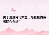 关于夏景诗句大全（写夏景的诗句简介介绍）