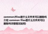 common(files是什么文件夹可以删除吗介绍 common files是什么文件夹可以删除吗详细情况如何)