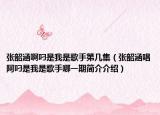 张韶涵啊叼是我是歌手第几集（张韶涵唱阿叼是我是歌手哪一期简介介绍）