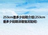 253cm是多少码鞋介绍(253cm是多少码鞋详细情况如何)
