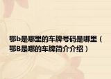 鄂b是哪里的车牌号码是哪里（鄂B是哪的车牌简介介绍）