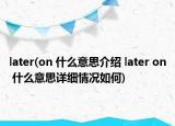 later(on 什么意思介绍 later on 什么意思详细情况如何)