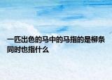 一匹出色的马中的马指的是柳条同时也指什么