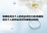 有哪些适合个人的创业项目介绍(有哪些适合个人的创业项目详细情况如何)