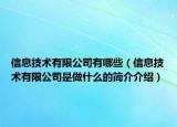 信息技术有限公司有哪些（信息技术有限公司是做什么的简介介绍）