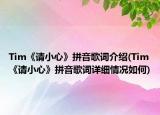 Tim《请小心》拼音歌词介绍(Tim《请小心》拼音歌词详细情况如何)