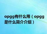 opgg有什么用（opgg是什么简介介绍）