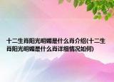 十二生肖阳光明媚是什么肖介绍(十二生肖阳光明媚是什么肖详细情况如何)