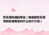 欢乐颂安迪的原名（电视剧欢乐颂里的安迪真名叫什么简介介绍）