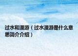 过水和漫游（过水漫游是什么意思简介介绍）