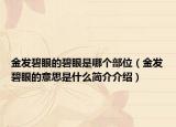 金发碧眼的碧眼是哪个部位（金发碧眼的意思是什么简介介绍）