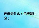 色群是什么（色群是什么）