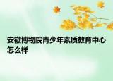 安徽博物院青少年素质教育中心怎么样