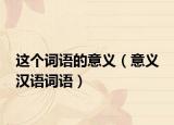 这个词语的意义（意义 汉语词语）