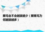 腋毛会不会越拔越少（腋窝毛为何越拔越多）