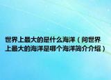 世界上最大的是什么海洋（问世界上最大的海洋是哪个海洋简介介绍）