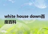 white house down百度百科