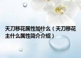 天刀移花属性加什么（天刀移花主什么属性简介介绍）
