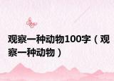 观察一种动物100字（观察一种动物）