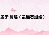 孟子 蝴蝶（孟连石蝴蝶）