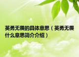 英勇无畏的具体意思（英勇无畏什么意思简介介绍）