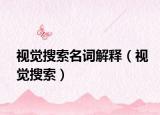 视觉搜索名词解释（视觉搜索）