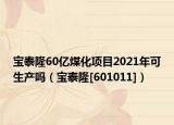 宝泰隆60亿煤化项目2021年可生产吗（宝泰隆[601011]）