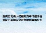 重庆巴南山火仍在扑救中详细内容 重庆巴南山火仍在扑救中具体介绍