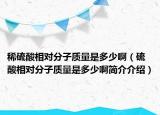 稀硫酸相对分子质量是多少啊（硫酸相对分子质量是多少啊简介介绍）