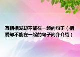 互相相爱却不能在一起的句子（相爱却不能在一起的句子简介介绍）