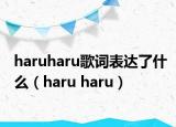 haruharu歌词表达了什么（haru haru）