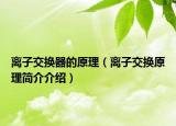 离子交换器的原理（离子交换原理简介介绍）
