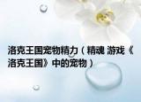 洛克王国宠物精力（精魂 游戏《洛克王国》中的宠物）