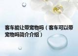 客车能让带宠物吗（客车可以带宠物吗简介介绍）