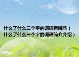 什么了什么三个字的词语有哪些（什么了什么三个字的词语简介介绍）