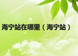 海宁站在哪里（海宁站）