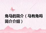 角马的简介（马有角吗简介介绍）