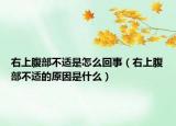 右上腹部不适是怎么回事（右上腹部不适的原因是什么）
