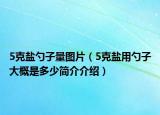 5克盐勺子量图片（5克盐用勺子大概是多少简介介绍）