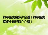 钓草鱼离底多少合适（钓草鱼离底多少最好简介介绍）