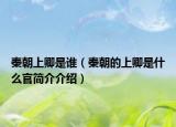 秦朝上卿是谁（秦朝的上卿是什么官简介介绍）