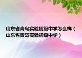 山东省青岛实验初级中学怎么样（山东省青岛实验初级中学）