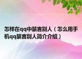 怎样在qq中禁言别人（怎么用手机qq禁言别人简介介绍）