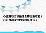 心脏跳动过快是什么原因造成的（心脏跳动过快的原因是什么）