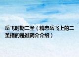 岳飞时期二圣（精忠岳飞上的二圣指的是谁简介介绍）
