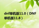dnf单机版11.0（DNF单机版11.8）