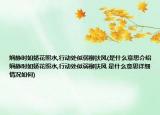 娴静时如娇花照水,行动处似弱柳扶风(是什么意思介绍 娴静时如娇花照水,行动处似弱柳扶风 是什么意思详细情况如何)